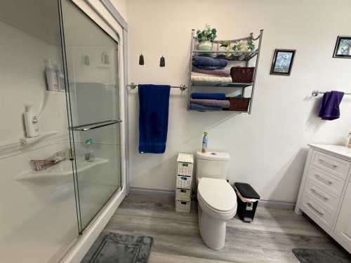 24403 East River Road, Hinton, AB - Indoor Photo Showing Bathroom