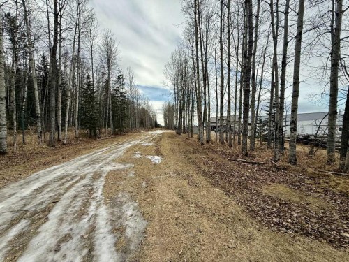 24403 East River Road, Hinton, AB - Outdoor With View