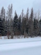 NW24 59 13 W5  Rural Woodlands County, AB T7S 1P5