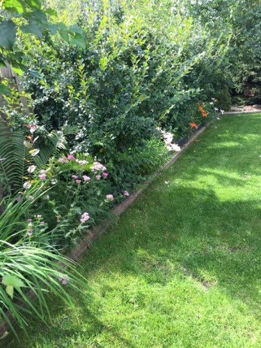 732 9 Street Sw, Slave Lake, AB - Outdoor