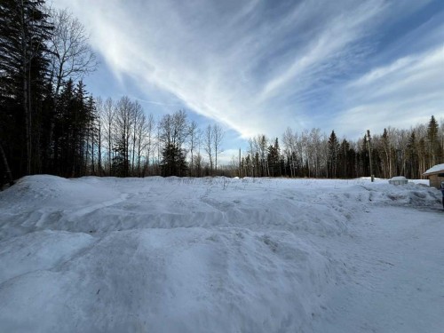 683023 Range Road 231, Rural Athabasca County, AB - Outdoor With View
