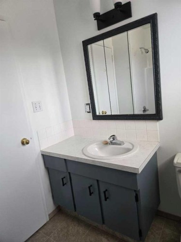 29-441 Switzer Drive, Hinton, AB - Indoor Photo Showing Bathroom