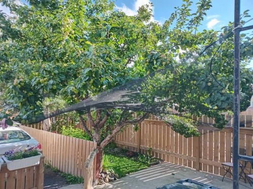 29-441 Switzer Drive, Hinton, AB - Outdoor