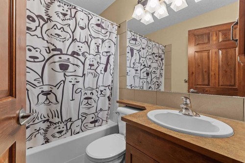 623-80 Dyrgas Gate, Canmore, AB - Indoor Photo Showing Bathroom