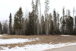 48-16511 Township Road 532A  Rural Yellowhead County, AB T7E 3A6