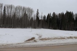 23-16511 Township Road 532A  Rural Yellowhead County, AB T7E 3A6
