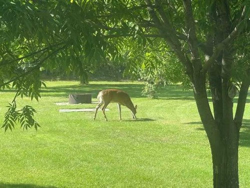 #28 Aspen Cres, Rural Athabasca County, AB - Outdoor