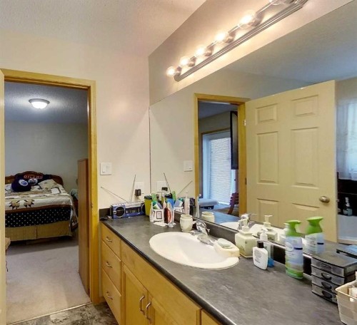 53509B Range Road 171, Rural Yellowhead County, AB - Indoor Photo Showing Bathroom