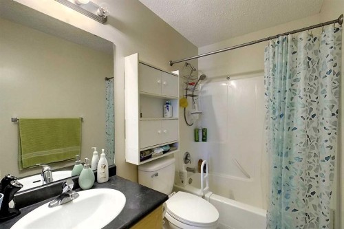 53509B Range Road 171, Rural Yellowhead County, AB - Indoor Photo Showing Bathroom
