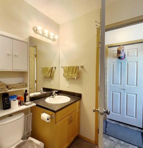 53509B Range Road 171, Rural Yellowhead County, AB - Indoor Photo Showing Bathroom