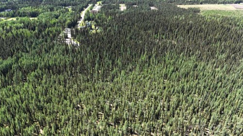 53509B Range Road 171, Rural Yellowhead County, AB - Outdoor With View