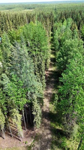53509B Range Road 171, Rural Yellowhead County, AB - Outdoor
