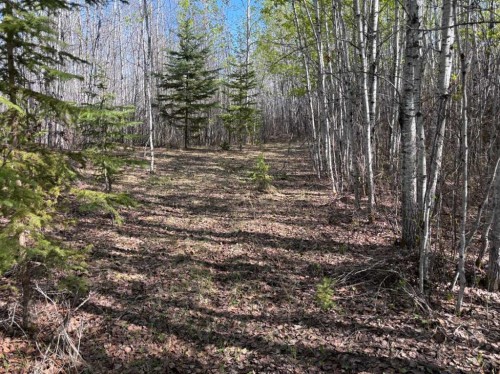Pt-Se-15-65-22-W4, Rural Athabasca County, AB 