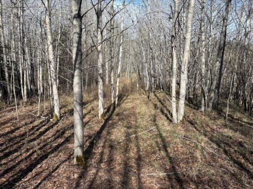 Pt-Se-15-65-22-W4, Rural Athabasca County, AB 