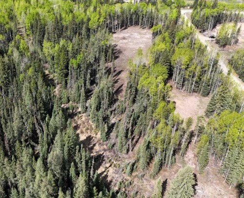 Lot 2 Range Road 180, Rural Yellowhead County, AB 