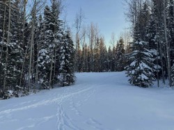 Lot 2 Range Road 180 Rural Yellowhead County, AB T7E 3M2
