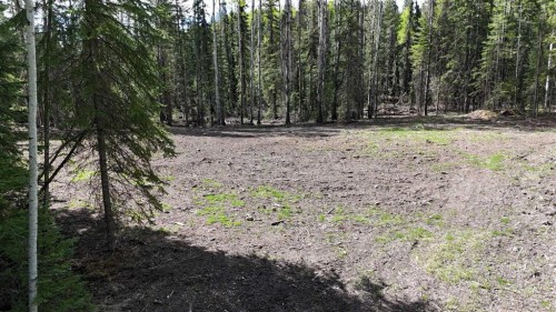 Lot 2 Range Road 180, Rural Yellowhead County, AB 