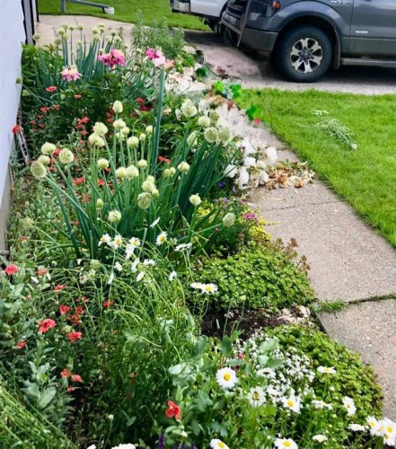 4230 5 Avenue, Edson, AB - Outdoor