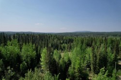 4A Township 591 Range Road 114B Rural Woodlands County, AB T7S 1A0