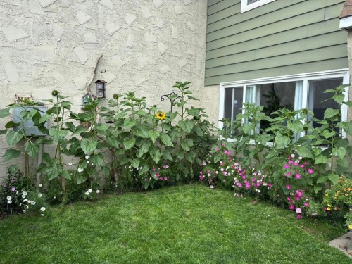 53-101 Mill Street, Hinton, AB - Outdoor