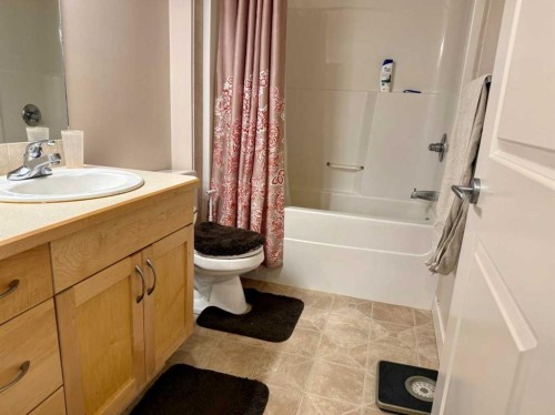 102-109 Seabolt Drive, Hinton, AB - Indoor Photo Showing Bathroom