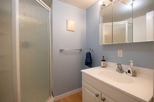 3111 Cornwall Drive, Athabasca, AB - Indoor Photo Showing Bathroom