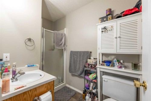 168 Sitar Crescent, Hinton, AB - Indoor Photo Showing Bathroom