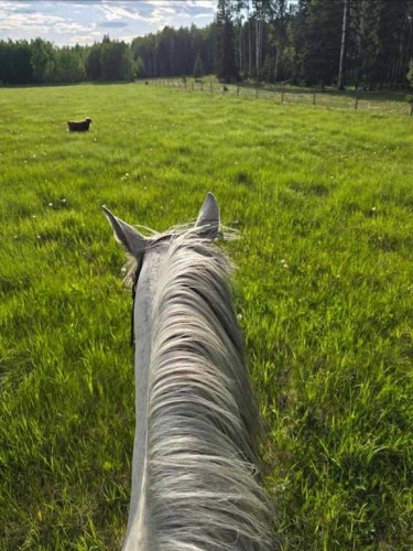 55111 Range Road 160A, Edson, AB - Outdoor With View