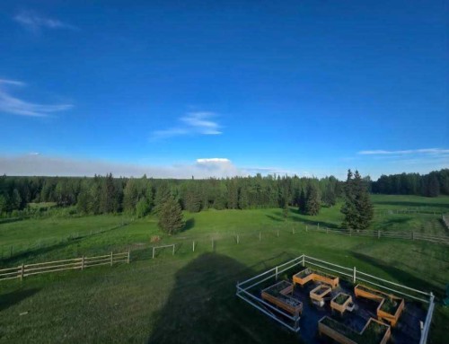 55111 Range Road 160A, Edson, AB - Outdoor With View
