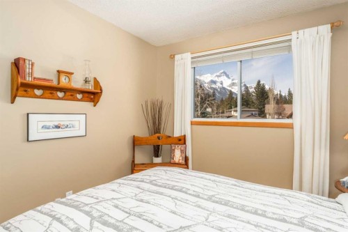 803 Larch Place, Canmore, AB 