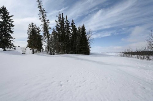 203039 Township Road 662, Rural Athabasca County, AB - Outdoor With View