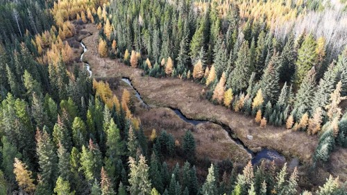 7 Bench Creek Estate, Edson, AB - Outdoor With View