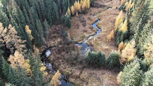 7 Bench Creek Estate, Edson, AB - Outdoor With View