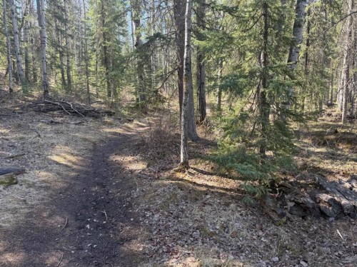 128 Berry Place, Hinton, AB - Outdoor With View
