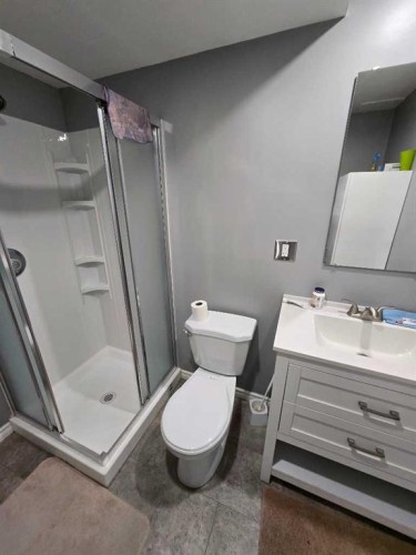 805 8 Street, Fox Creek, AB - Indoor Photo Showing Bathroom
