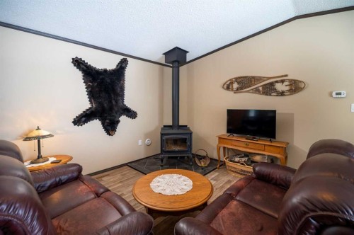 218-660022 Range Road 225.5, Athabasca, AB - Indoor Photo Showing Living Room With Fireplace