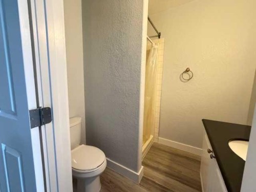 4230 Caribou Crescent, Wabasca, AB - Indoor Photo Showing Bathroom