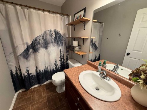 110 Muldoon Crescent, Hinton, AB - Indoor Photo Showing Bathroom