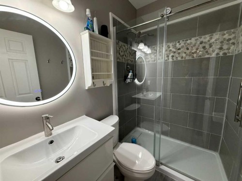 110 Muldoon Crescent, Hinton, AB - Indoor Photo Showing Bathroom