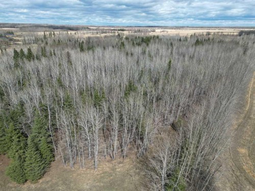 685043 Range Road 223.2, Rural Athabasca County, AB 