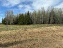 685043 Range Road 223.2, Rural Athabasca County, AB 