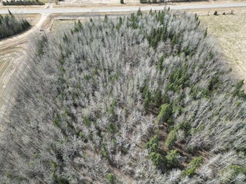 685043 Range Road 223.2, Rural Athabasca County, AB 