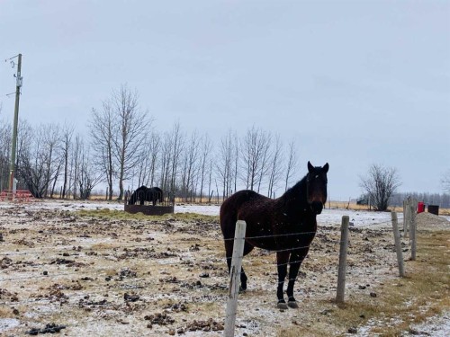 56120 Range Road 93, Mayerthorpe, AB - Outdoor With View