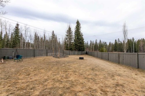 165 Muldoon Crescent, Hinton, AB - Outdoor