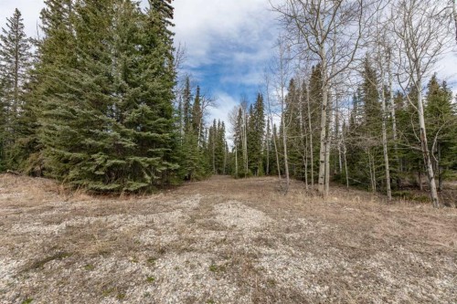 129 Moberly Drive, Hinton, AB 