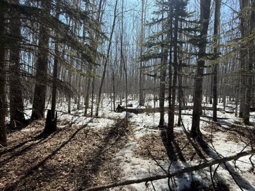41 Ella Mae Crescent, Whispering Hills, AB - Outdoor With View