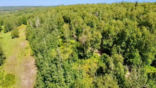 42 & 44 654036 Range Road 222, Rural Athabasca County, AB 