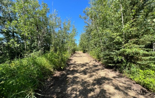 42 & 44 654036 Range Road 222, Rural Athabasca County, AB 