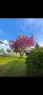 5910 10 Avenue, Edson, AB  - Outdoor With View 