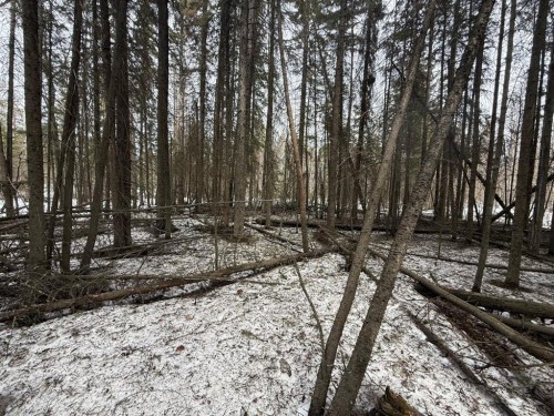 Twp Rd 662, Rural Athabasca County, AB 